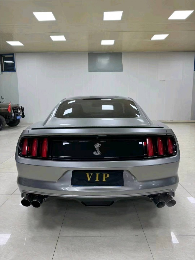 廊坊16年福特野马9