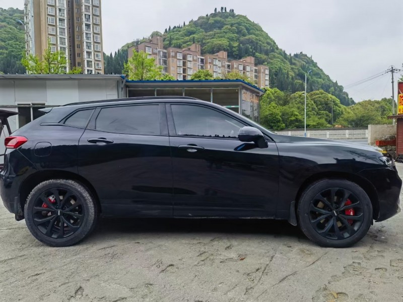 安順17年長城汽車WEY VV76