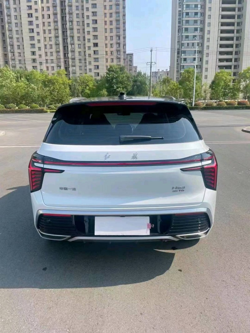 徐州24年红旗HS34