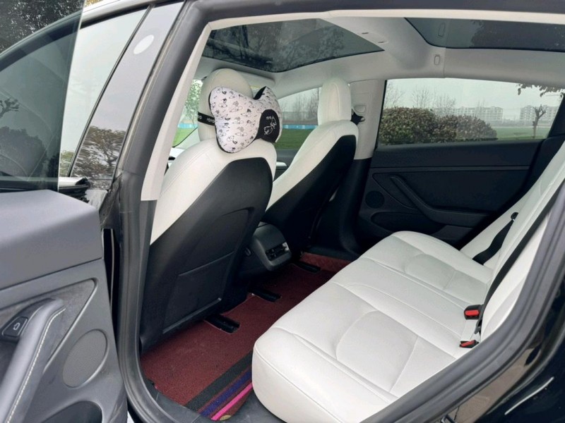鹽城23年特斯拉MODEL 38