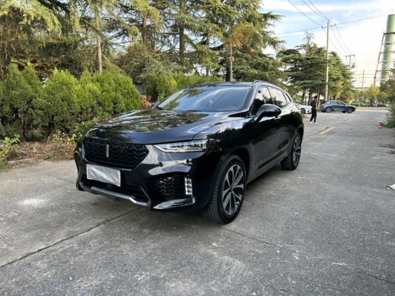徐州21年长城汽车WEY VV72