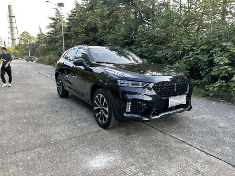 徐州21年长城汽车WEY VV73