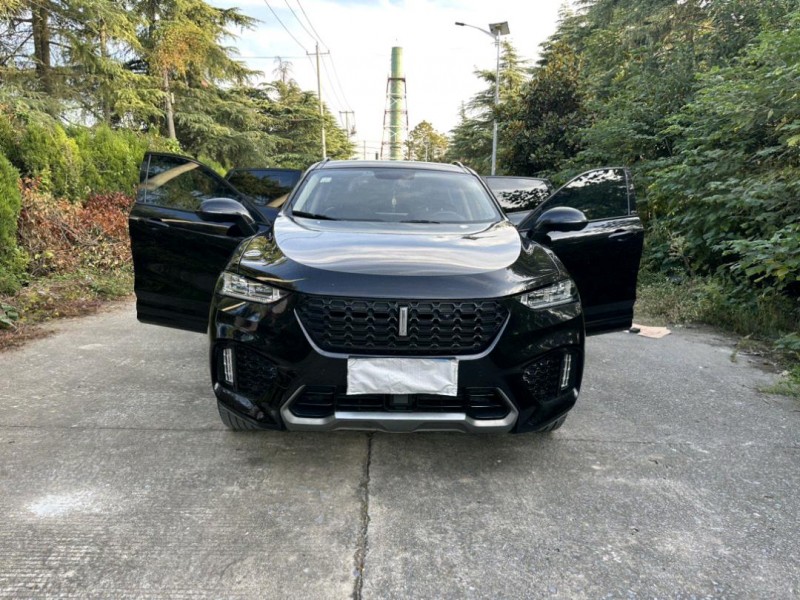 徐州21年长城汽车WEY VV78