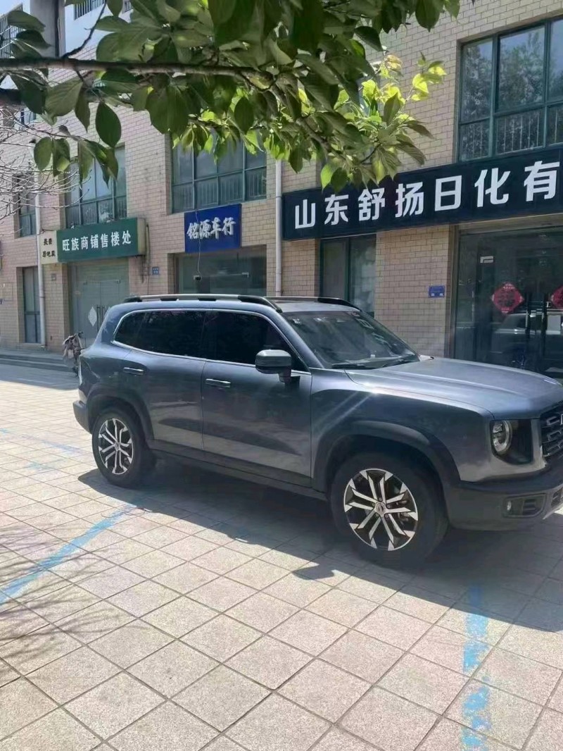 淄博21年哈弗大狗2