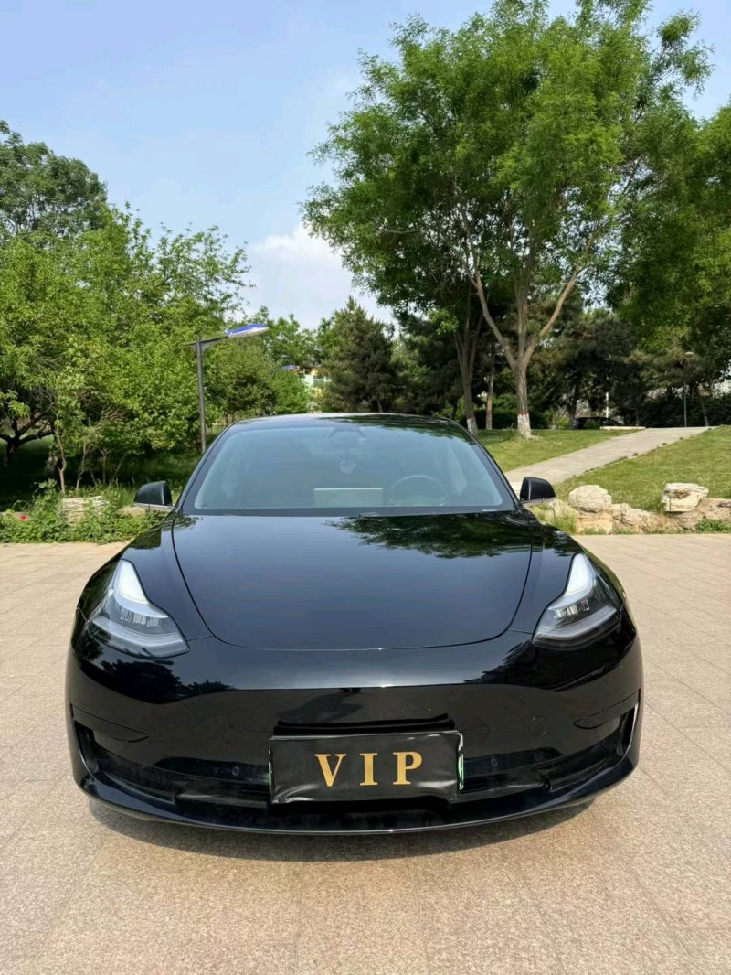 邢臺21年特斯拉MODEL 31