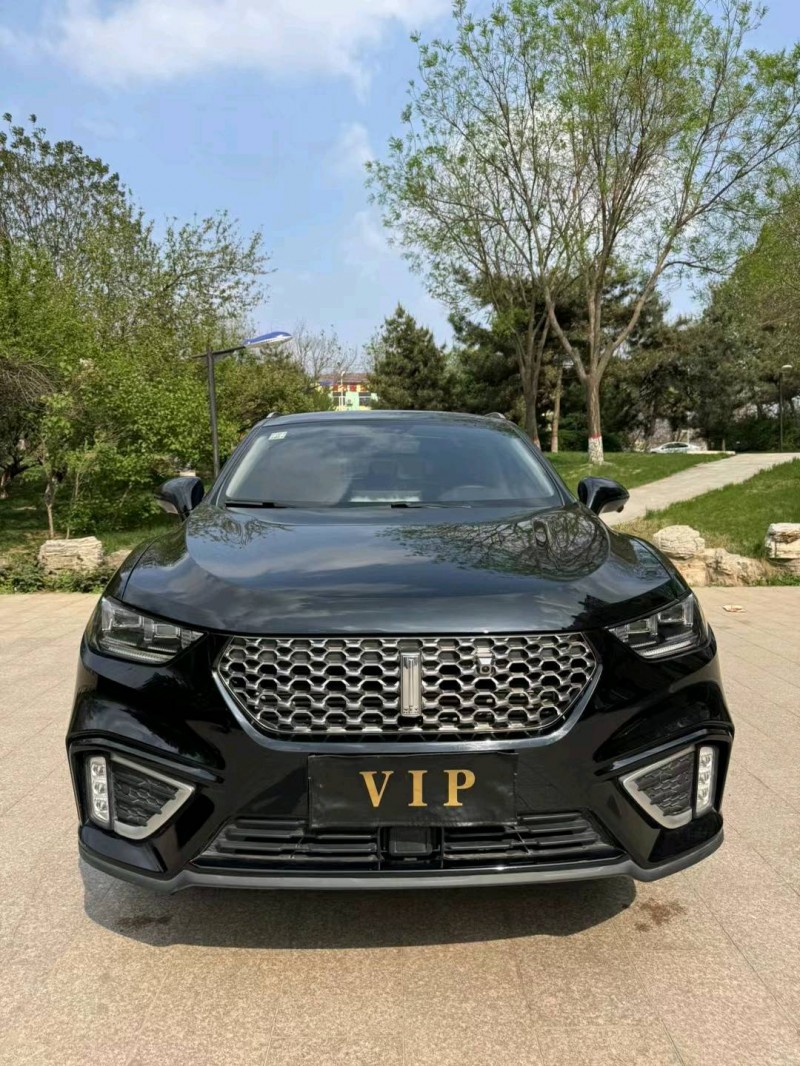 邢台21年长城汽车WEY VV51