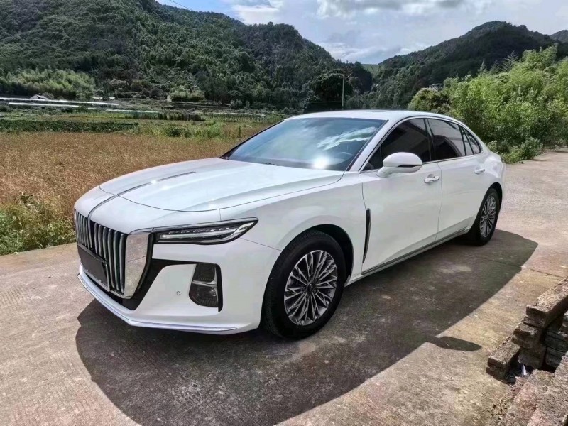 东营23年红旗H52