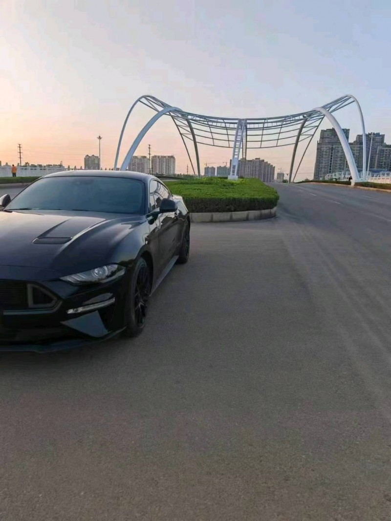 聊城19年福特野马2