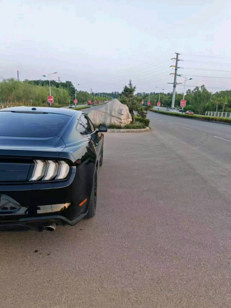 聊城19年福特野马7