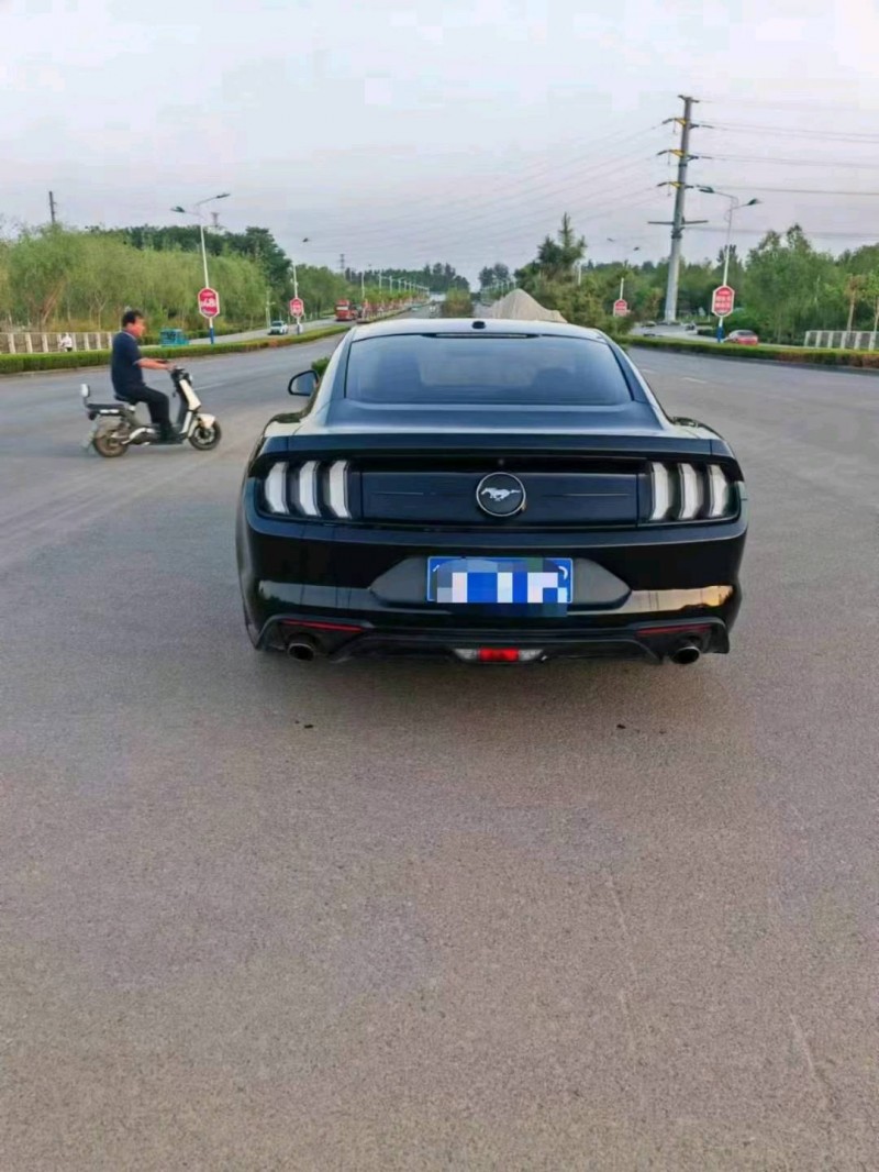 聊城19年福特野马8