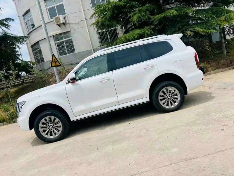 泰安24年長城汽車坦克5003