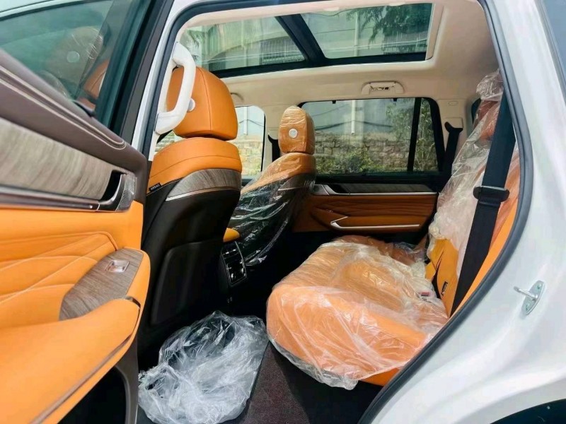 泰安24年長城汽車坦克5004