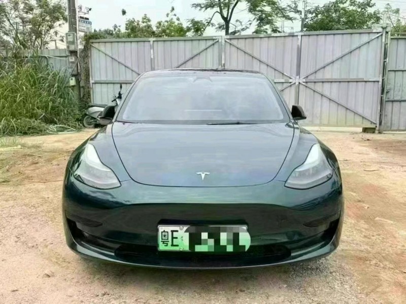 廣州22年特斯拉MODEL 31