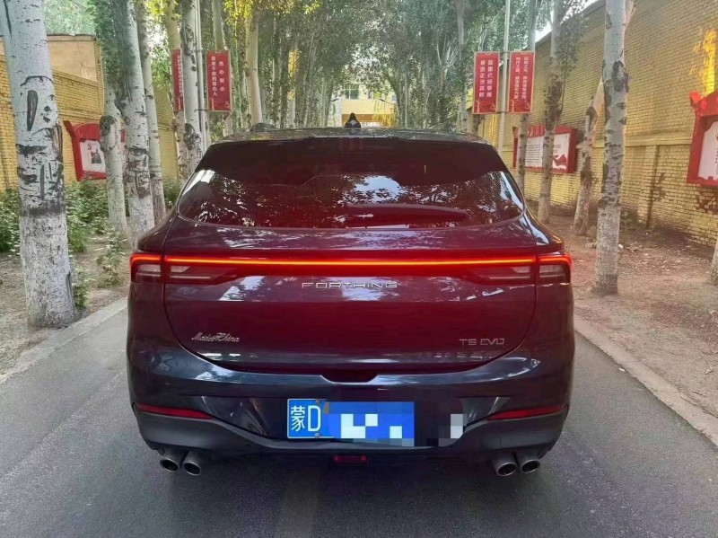 东营21年东风T52