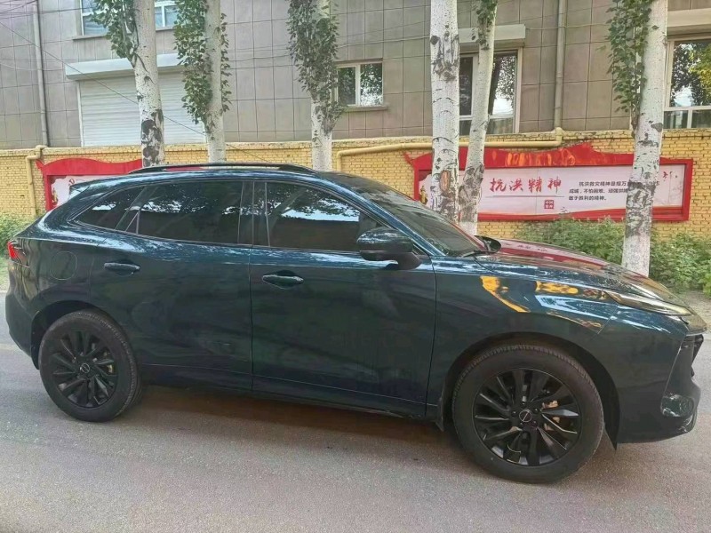 东营21年东风T59