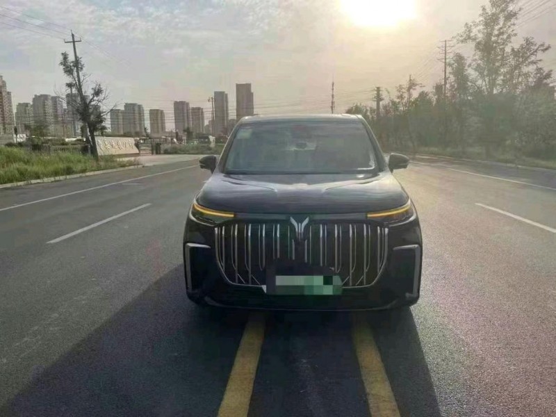 煙臺24年嵐圖汽車夢想家1