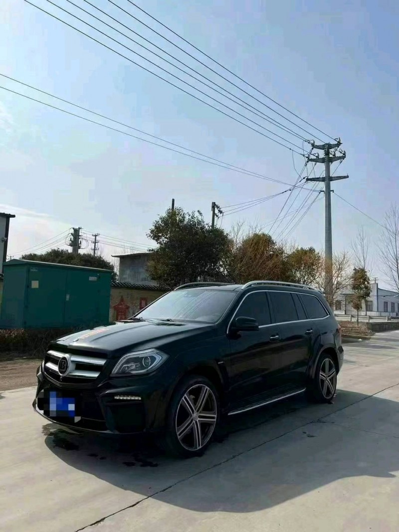 菏泽17年巴博斯G级2