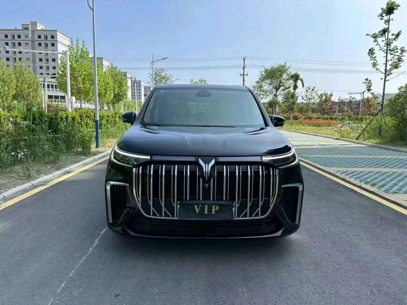 徐州24年嵐圖汽車夢想家1