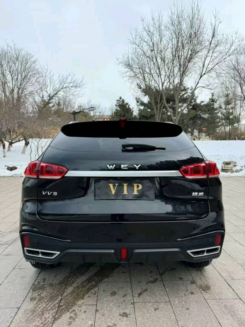 邢台20年长城汽车WEY VV59