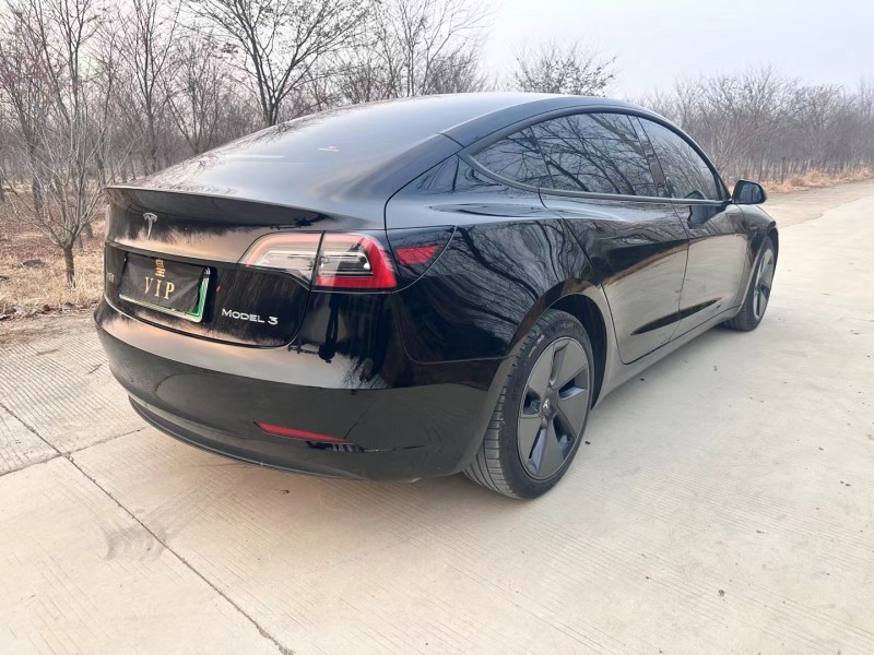 徐州21年特斯拉MODEL 38