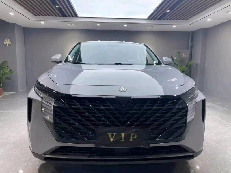 成都22年啟辰大V1