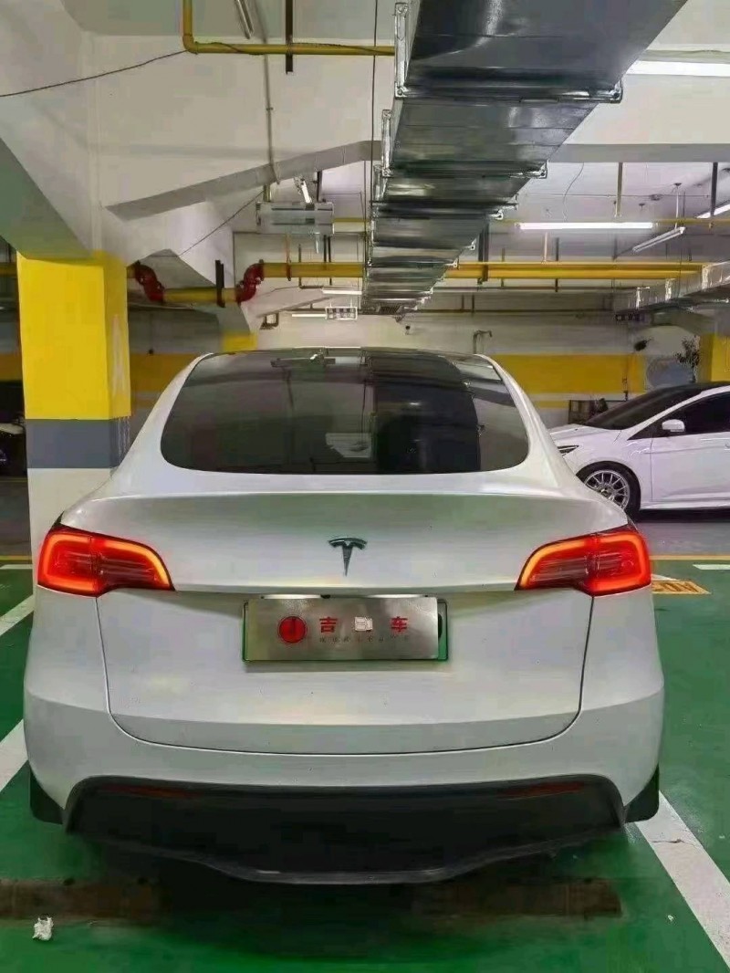 武漢21年特斯拉MODEL 35