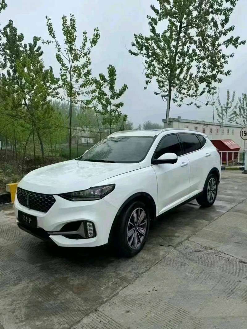 淮南21年長城汽車WEY VV62