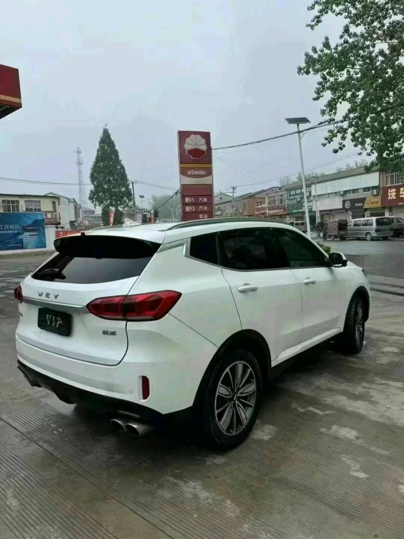 淮南21年長城汽車WEY VV66