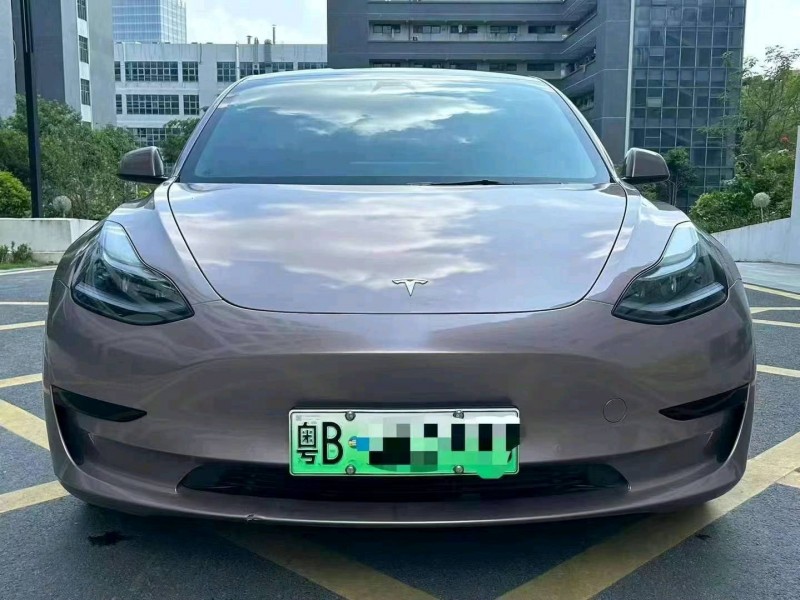 廣州21年特斯拉MODEL 31