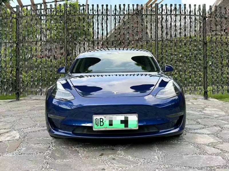 廣州21年特斯拉MODEL 31