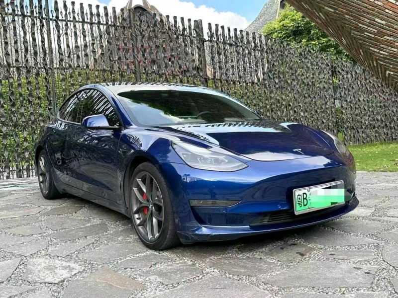 廣州21年特斯拉MODEL 32