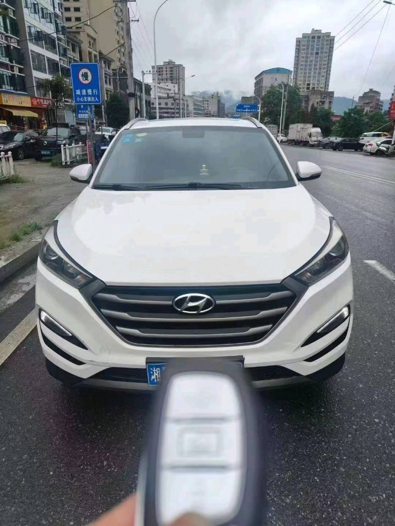 岳陽17年現代途勝1