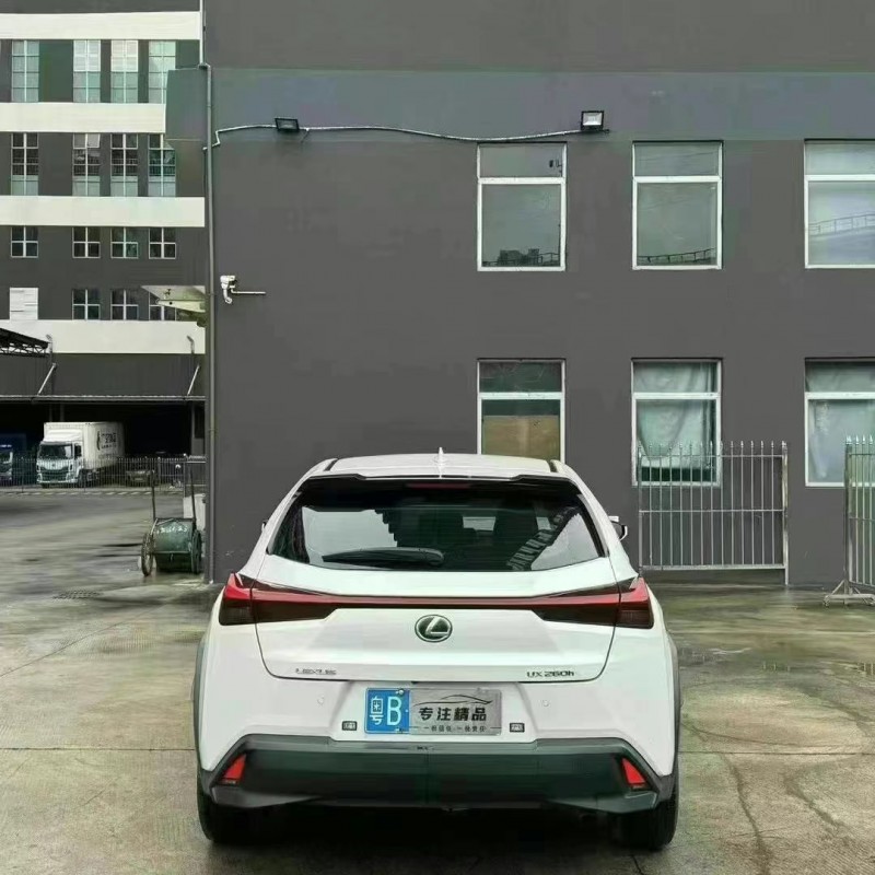 佛山20年雷克萨斯UX9