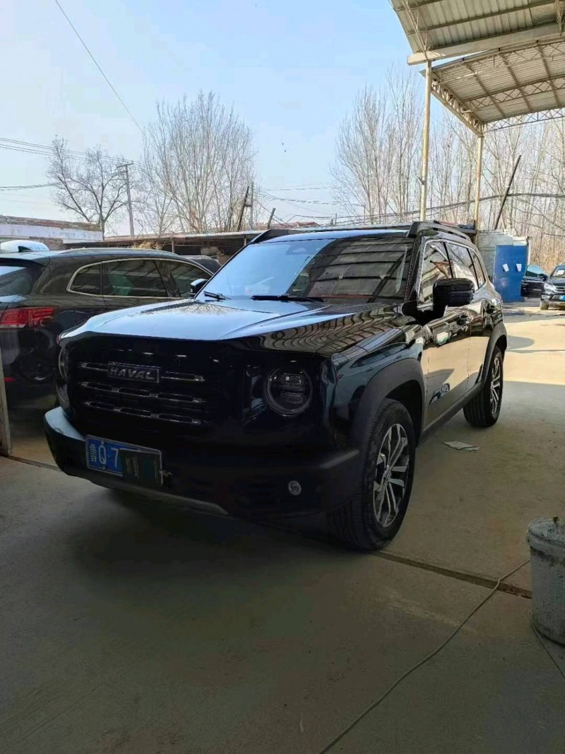 保定21年哈弗大狗3