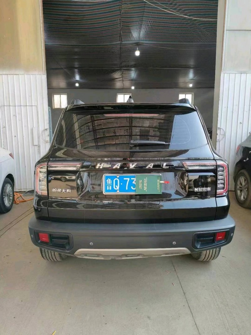 保定21年哈弗大狗9