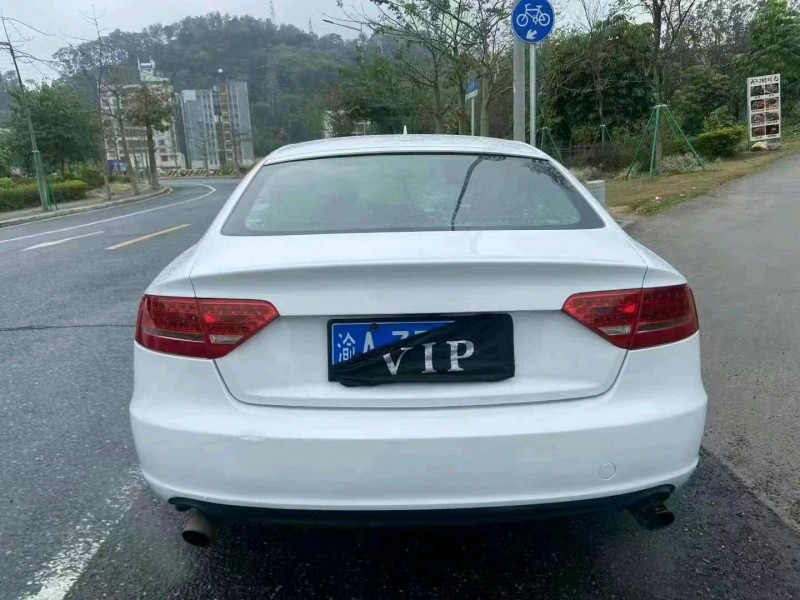 广州12年奥迪A55