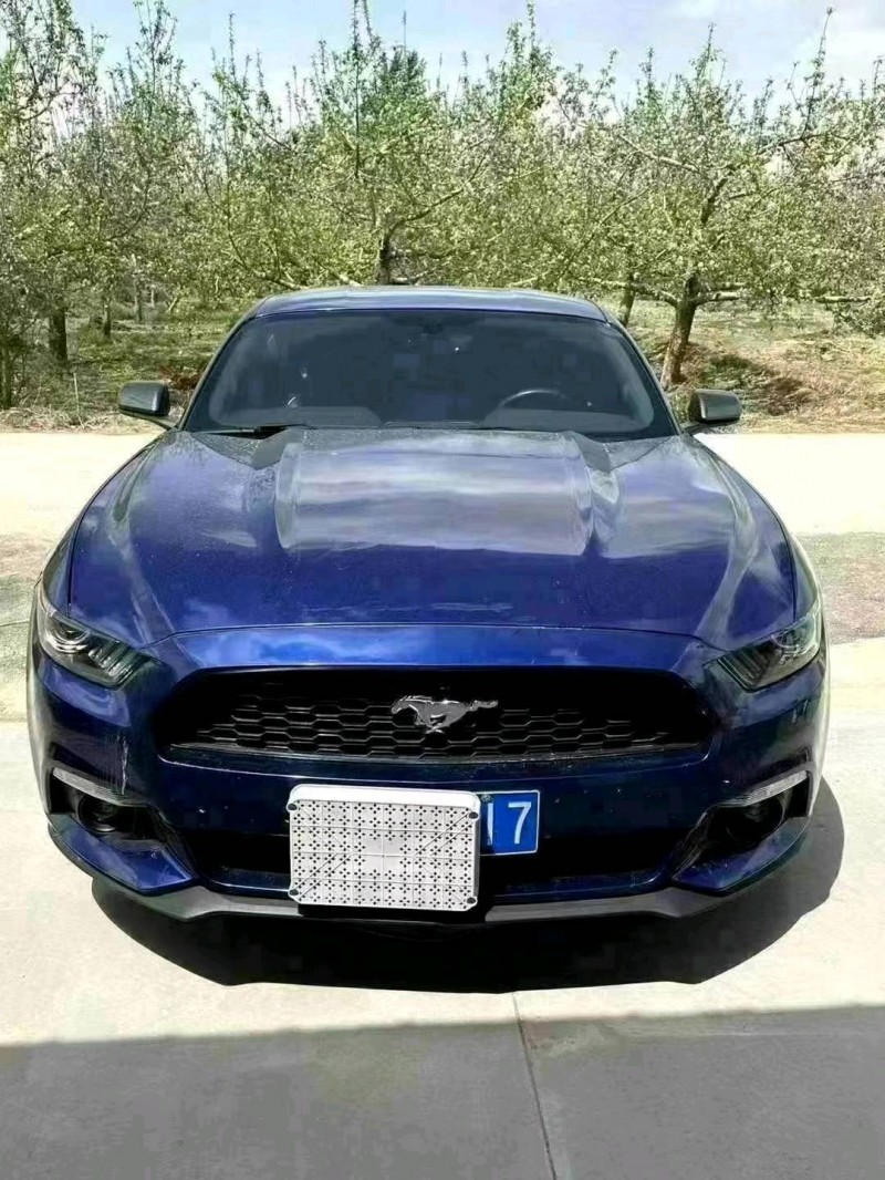 枣庄16年福特野马1