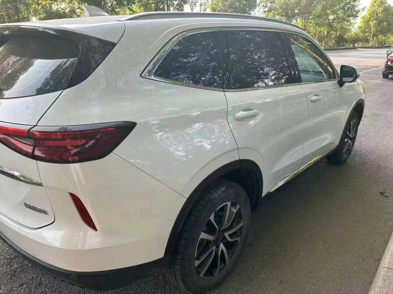 东营22年哈弗H65