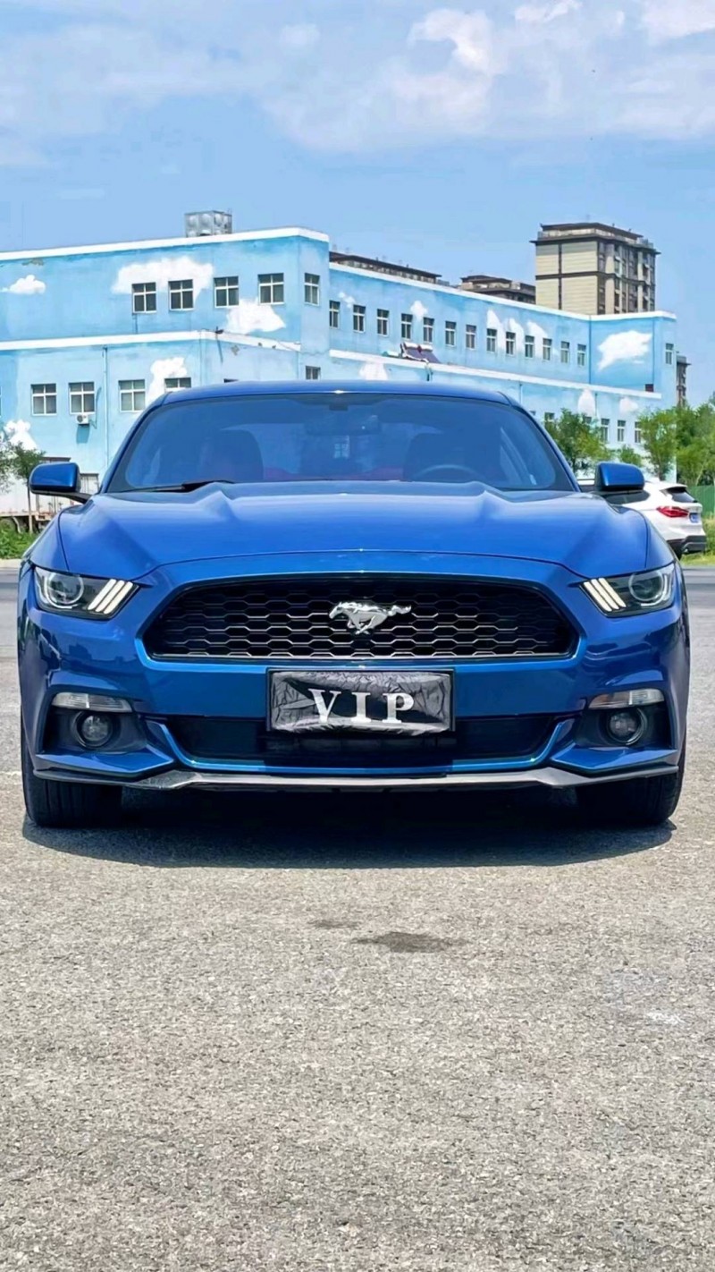 廊坊17年福特野马1