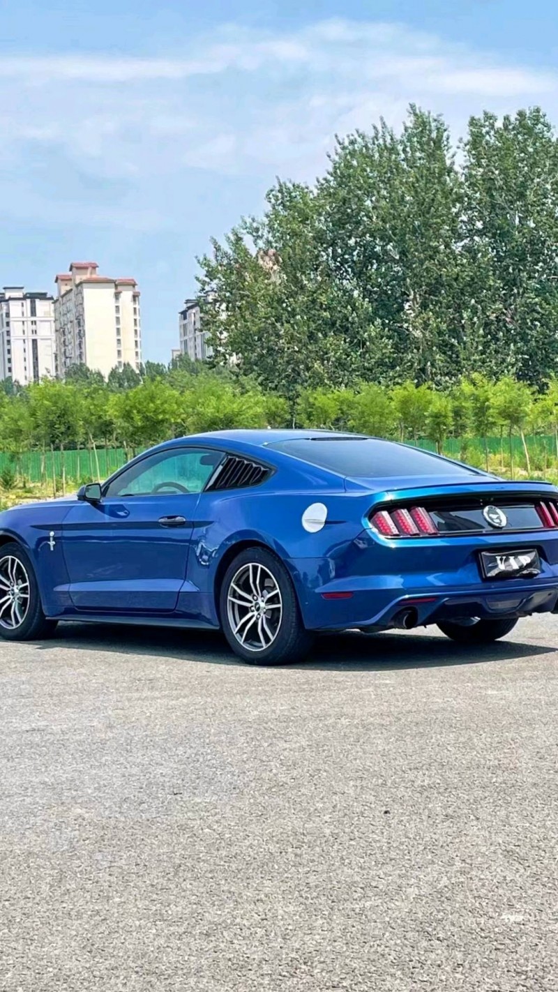 廊坊17年福特野马4