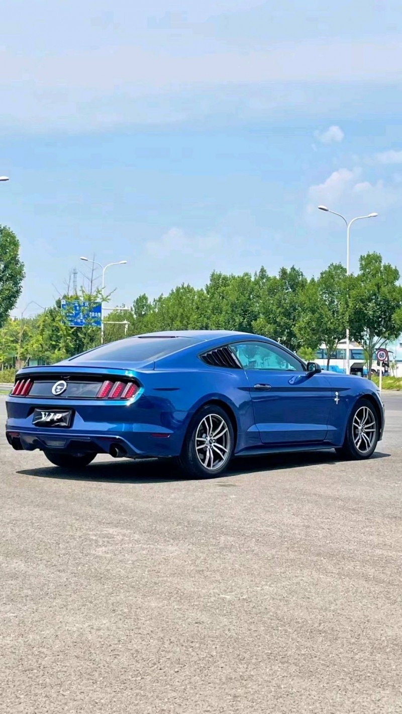 廊坊17年福特野马5