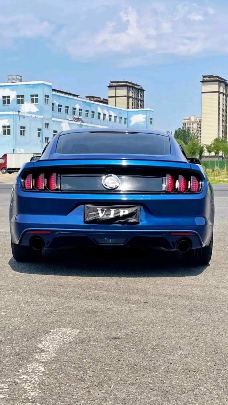 廊坊17年福特野马9