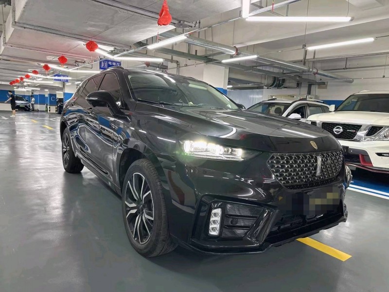 成都20年长城汽车魏牌高山2