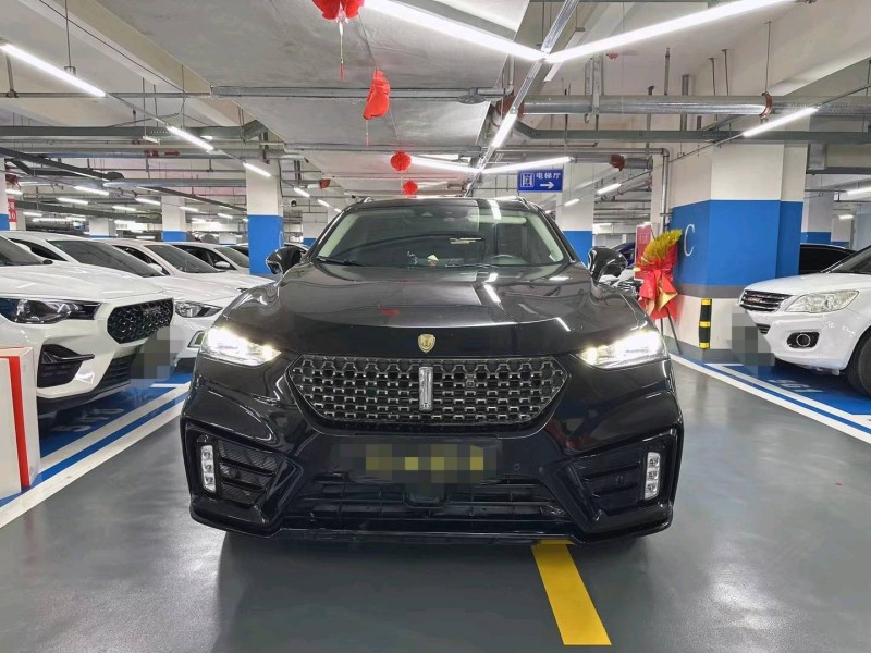 成都20年长城汽车魏牌高山1