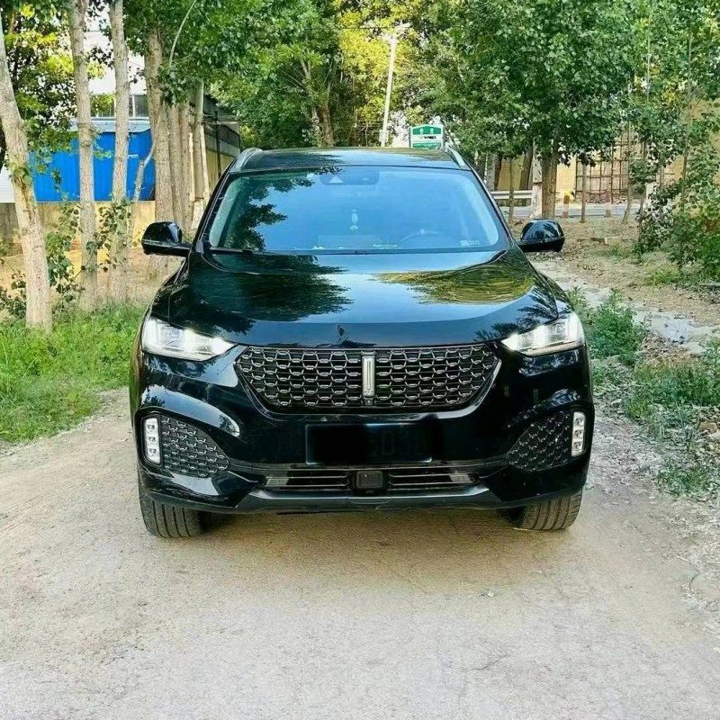 东营20年长城汽车WEY VV61