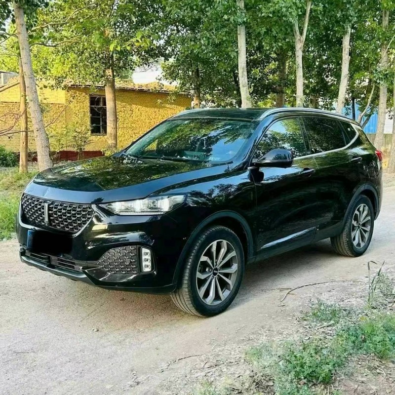 东营20年长城汽车WEY VV63