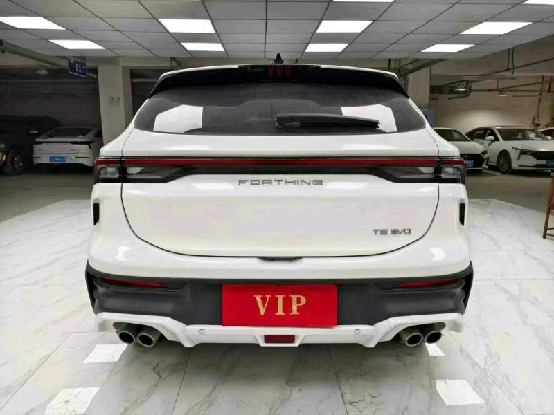 成都23年东风T59