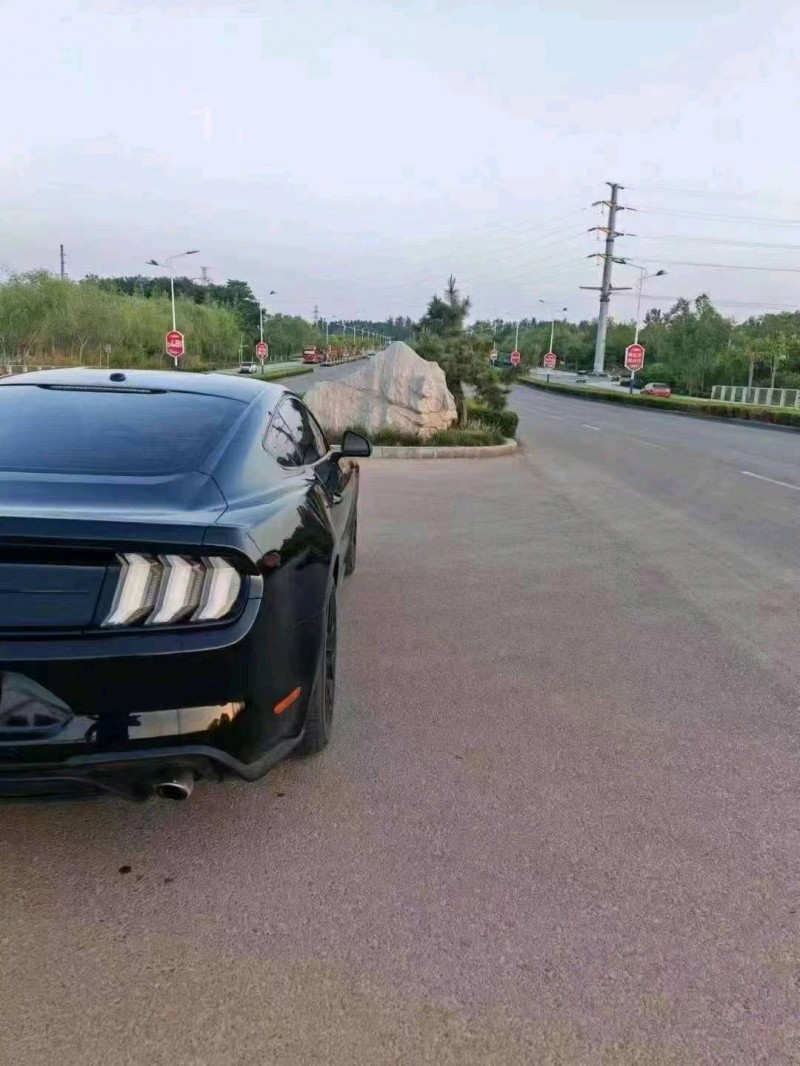 烟台19年福特野马5