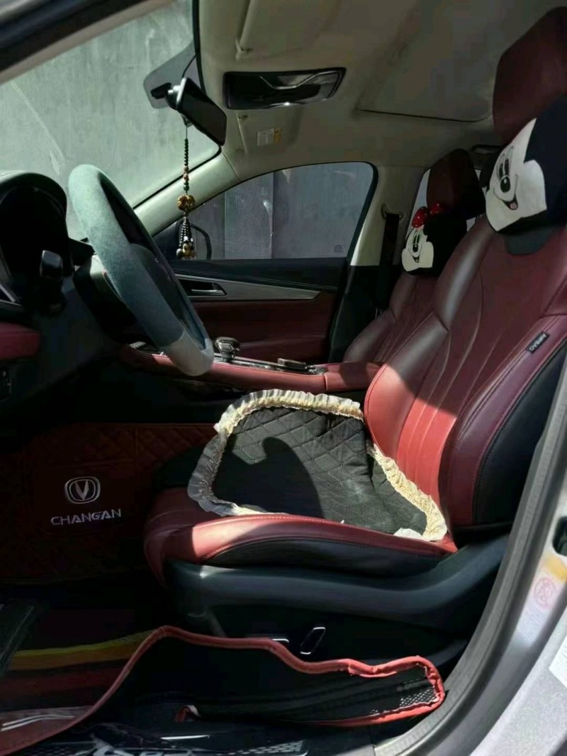 紹興21年長安汽車CS858