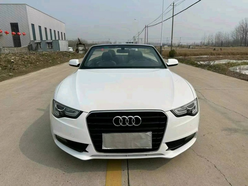 徐州14年奥迪A51